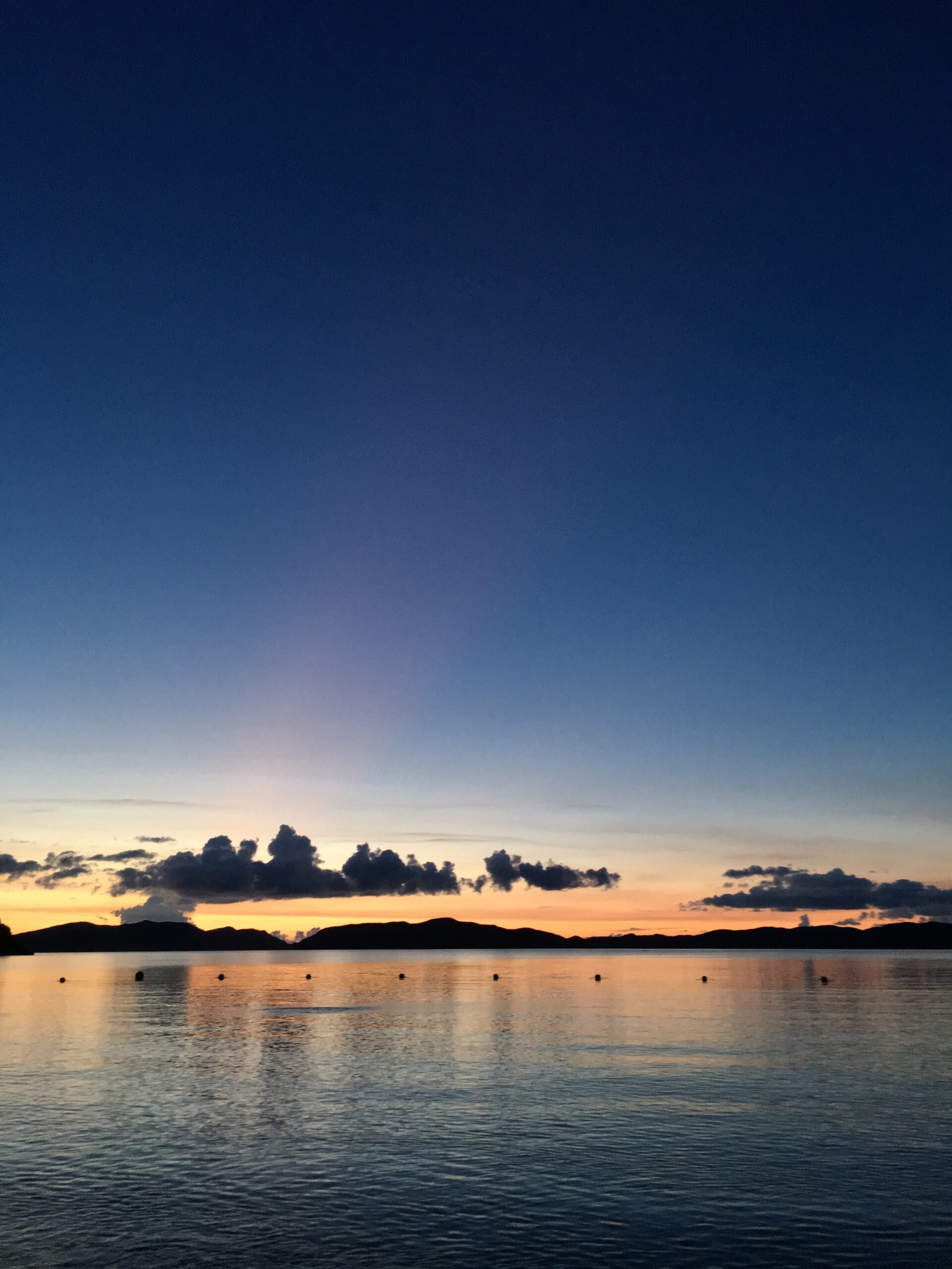 株式会社ステムズ 代表取締役 浅井信太郎